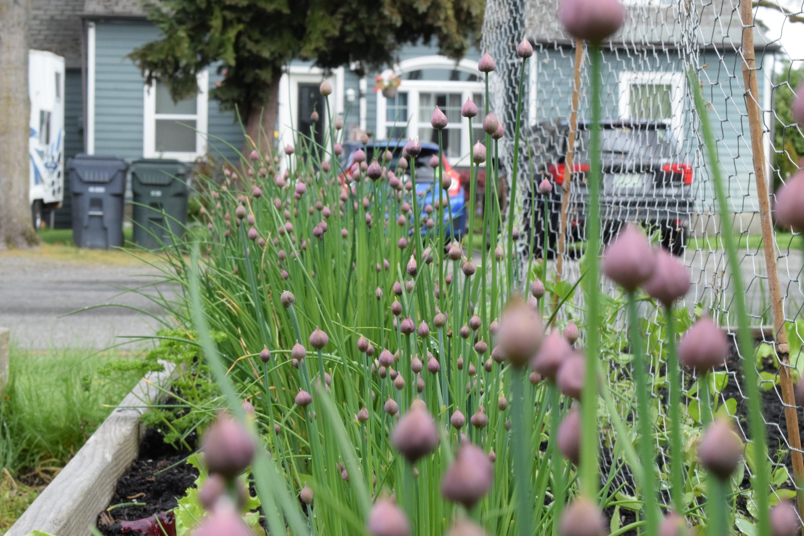 Sustainable practices for farmhouse living